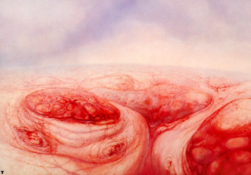 Illustration for article titled The Biological Horrors Of H.R. Giger's Fleshy Landscape Paintings
